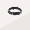 Accessori per animali domestici