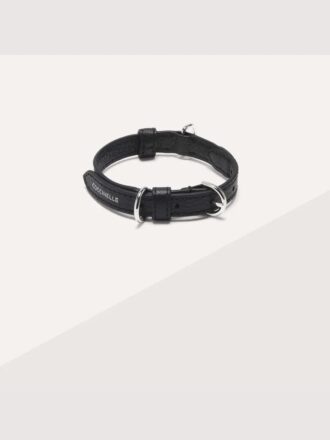 Accessori per animali domestici