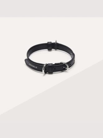 Accessori per animali domestici