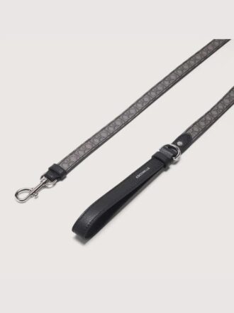 Accessori per animali domestici