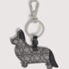 Capsule per animali domestici Capsule per animali domestici