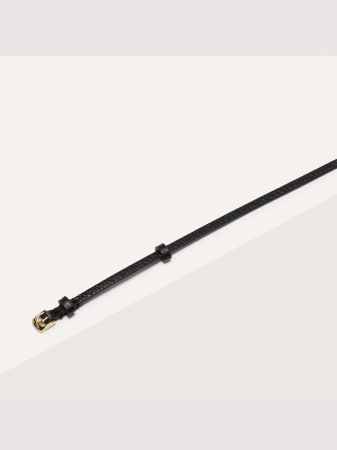 Coccinelle Agnes