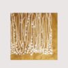 Coccinelle Algae
