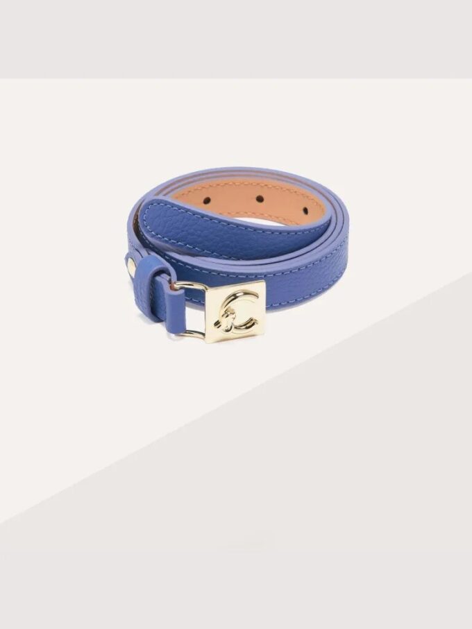 Coccinelle C-Me
