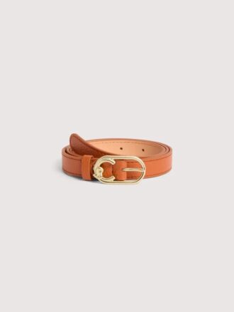 Coccinelle C-Me
