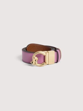 Coccinelle C-Me