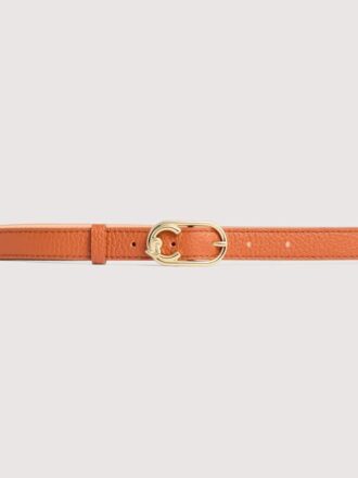 Coccinelle C-Me