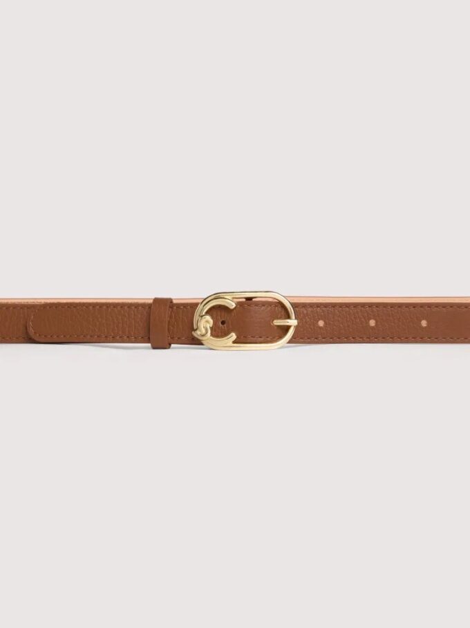 Coccinelle C-Me
