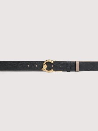 Coccinelle C-Me
