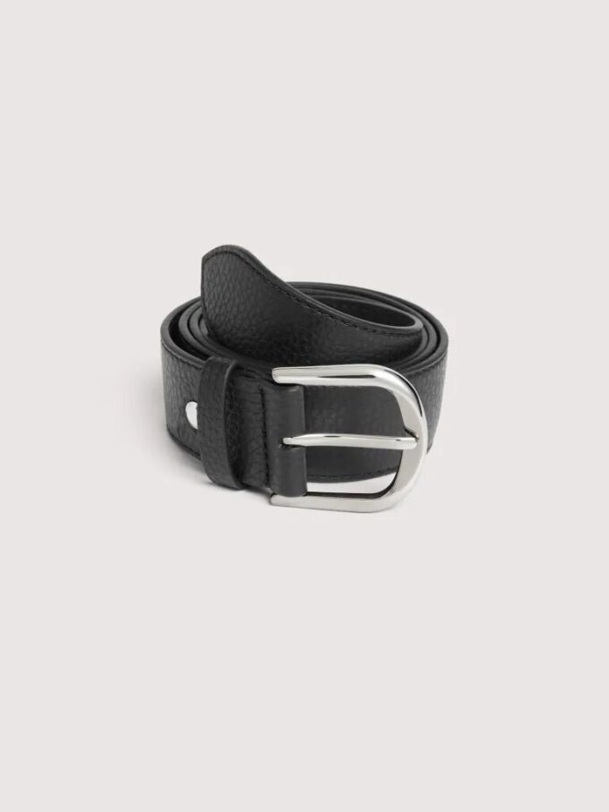 Coccinelle Erika