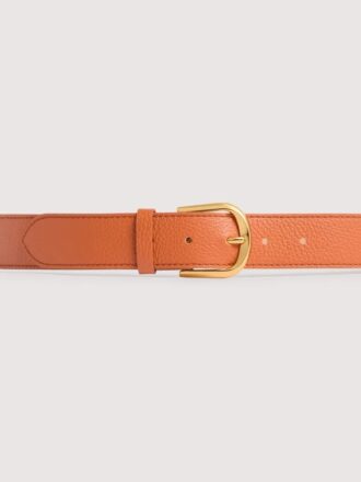 Coccinelle Erika