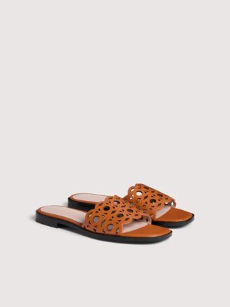 Coccinelle Essential
