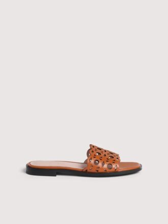 Coccinelle Essential