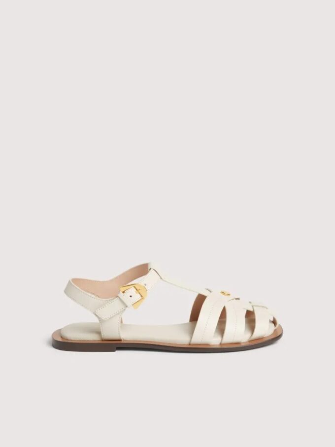 Coccinelle Sunup