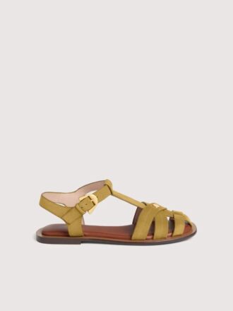 Coccinelle Sunup