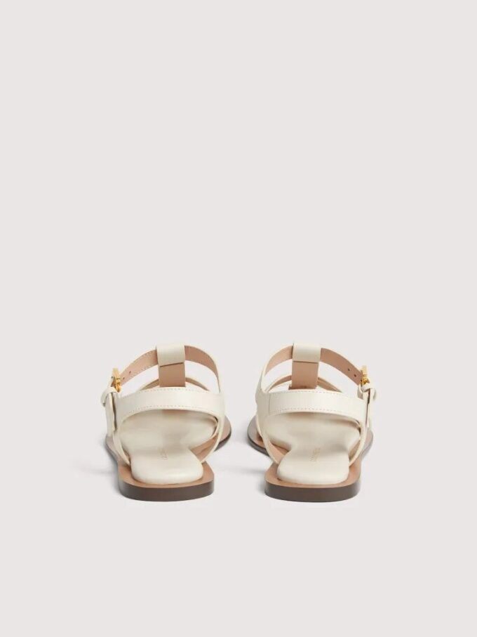 Coccinelle Sunup