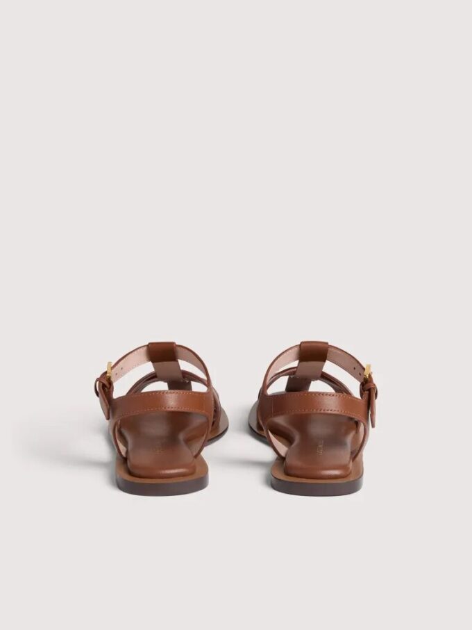 Coccinelle Sunup
