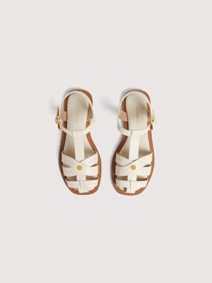 Coccinelle Sunup
