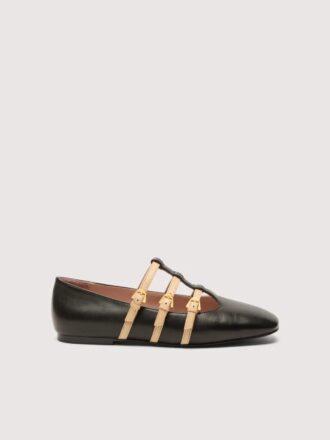 Coccinelle Sven