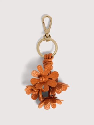 Fiori Coccinelle